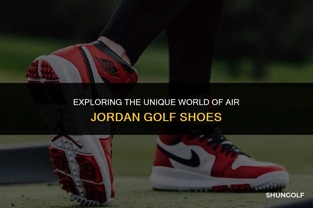 what are air jordan golf shoes