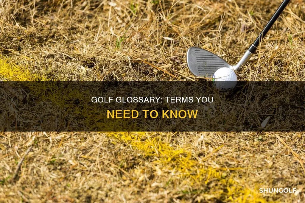 what are all the golf terms