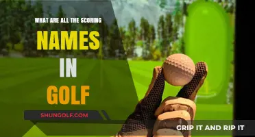 Golf Scoring Names: From Albatross to Bogey Explained