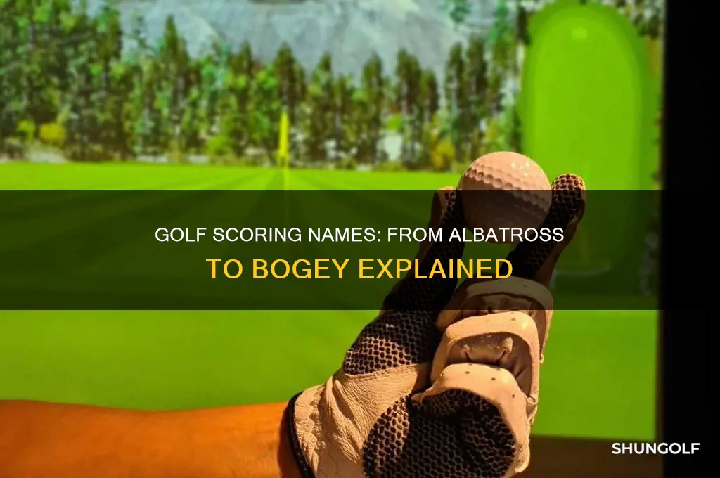 what are all the scoring names in golf