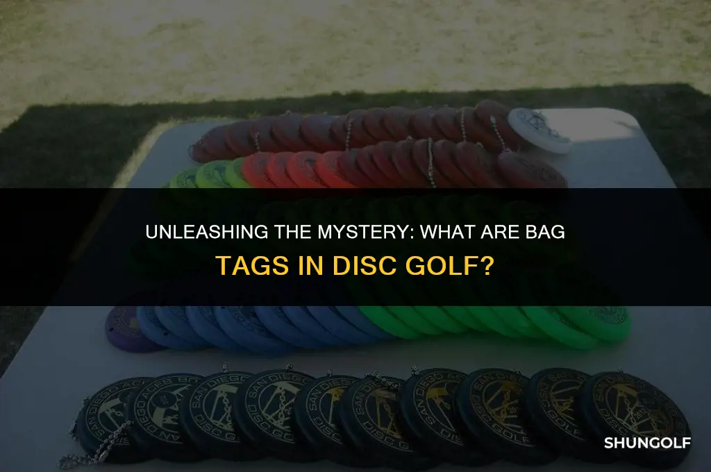 what are bag tags in disc golf