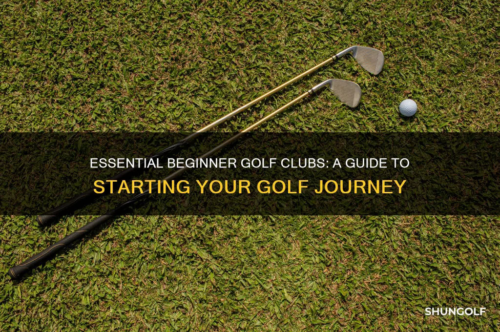 what are beginner golf clubs