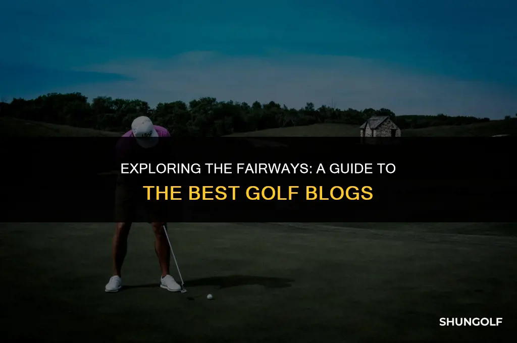what are best golf blog