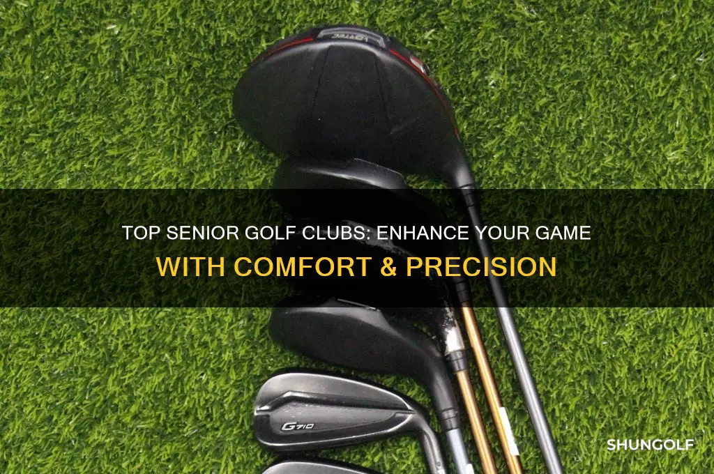what are best golf clubs for seniors