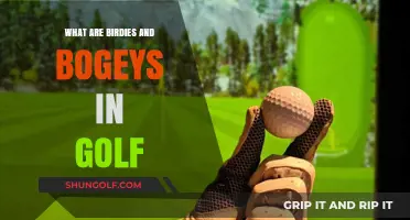 Understanding Birdies and Bogeys: Golf Scoring Basics Explained