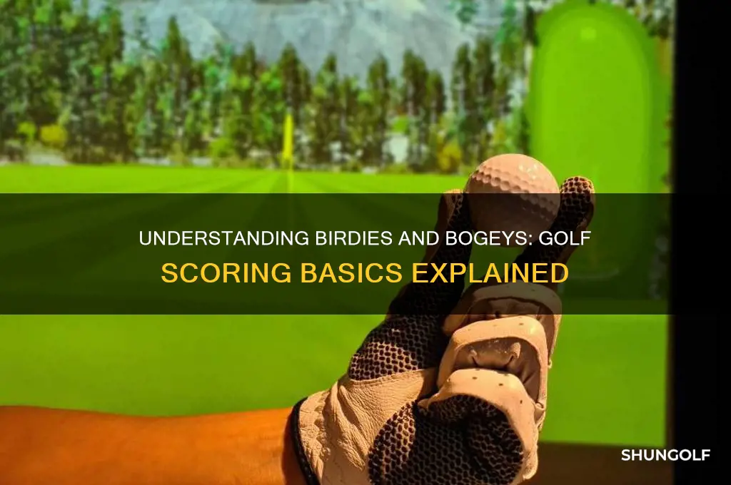 what are birdies and bogeys in golf