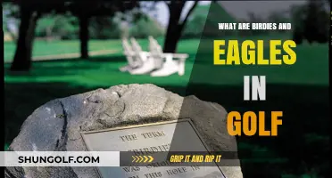 Understanding Birdies and Eagles: Golf's Exciting Scoring Terms Explained