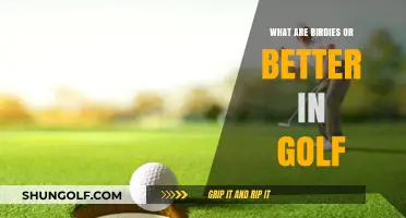 Mastering Birdies or Better: Elevate Your Golf Game Today