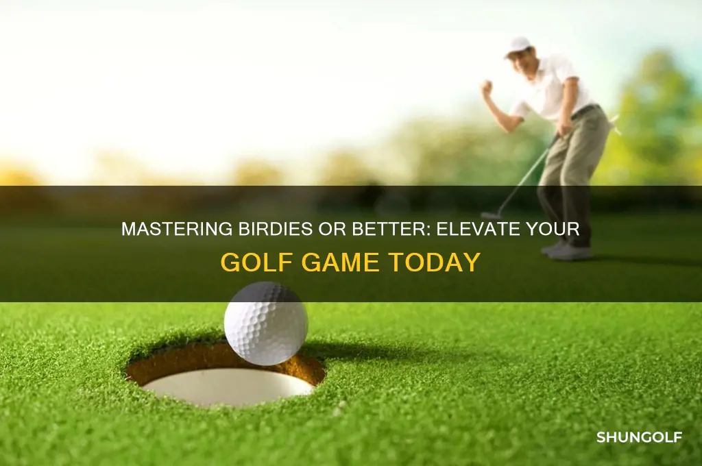 what are birdies or better in golf
