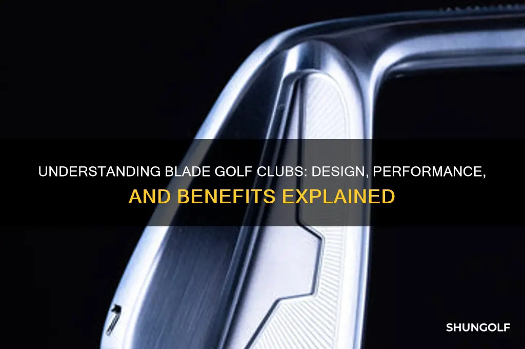 what are blade golf clubs