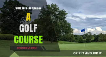 Understanding Blue Flags: Their Meaning and Use on Golf Courses