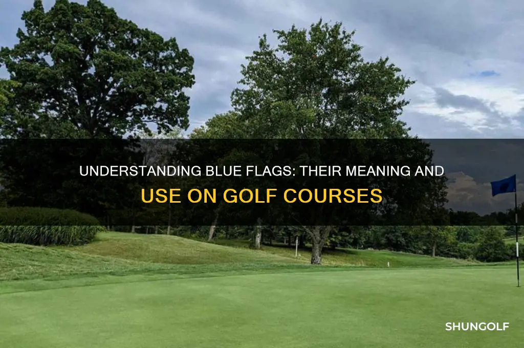 what are blue flags on a golf course