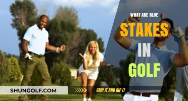 Understanding Golf's Blue Stakes: What They Mean
