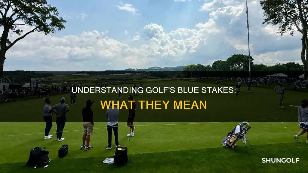 what are blue stakes in golf