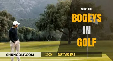 Understanding Golf Bogeys: What, When, and Why?
