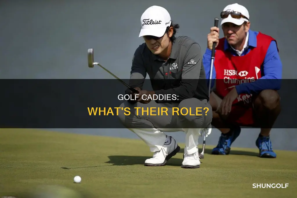 what are caddies in golf