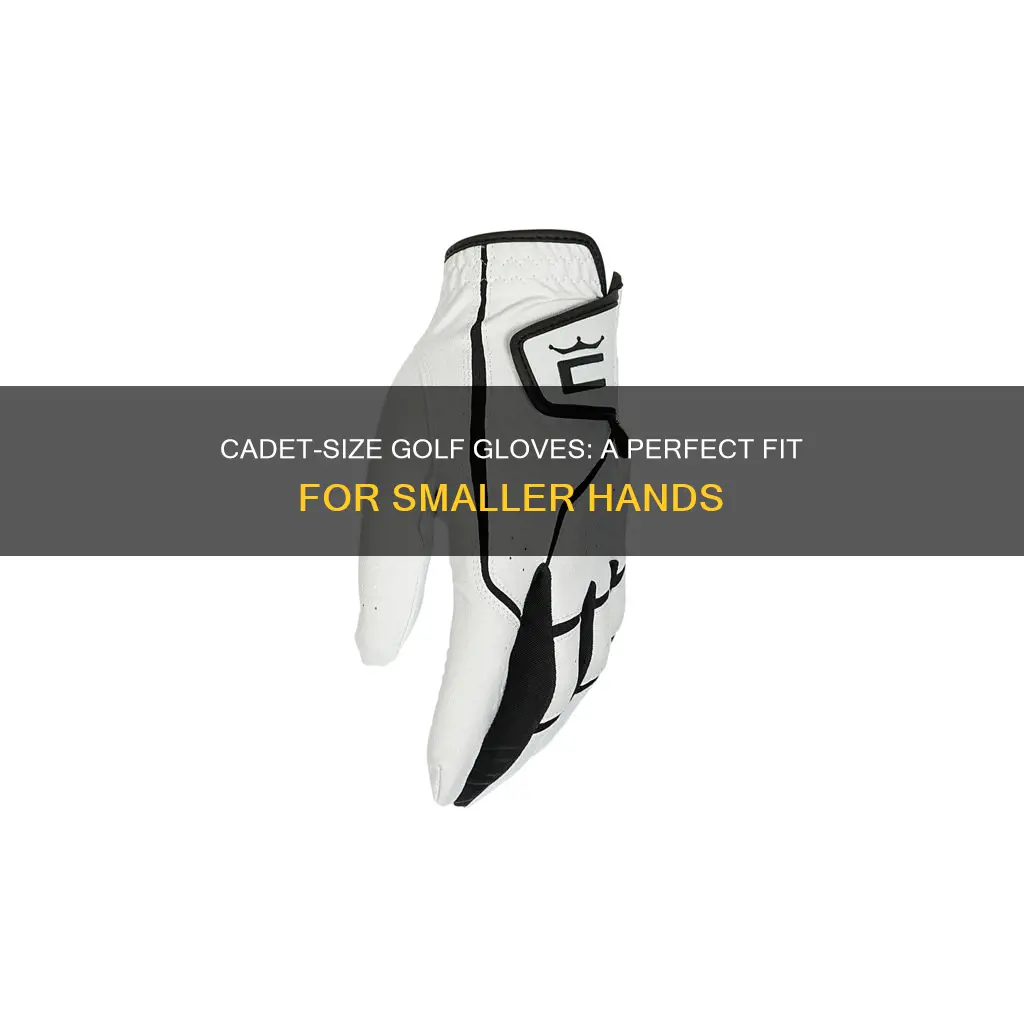 what are cadet size golf gloves