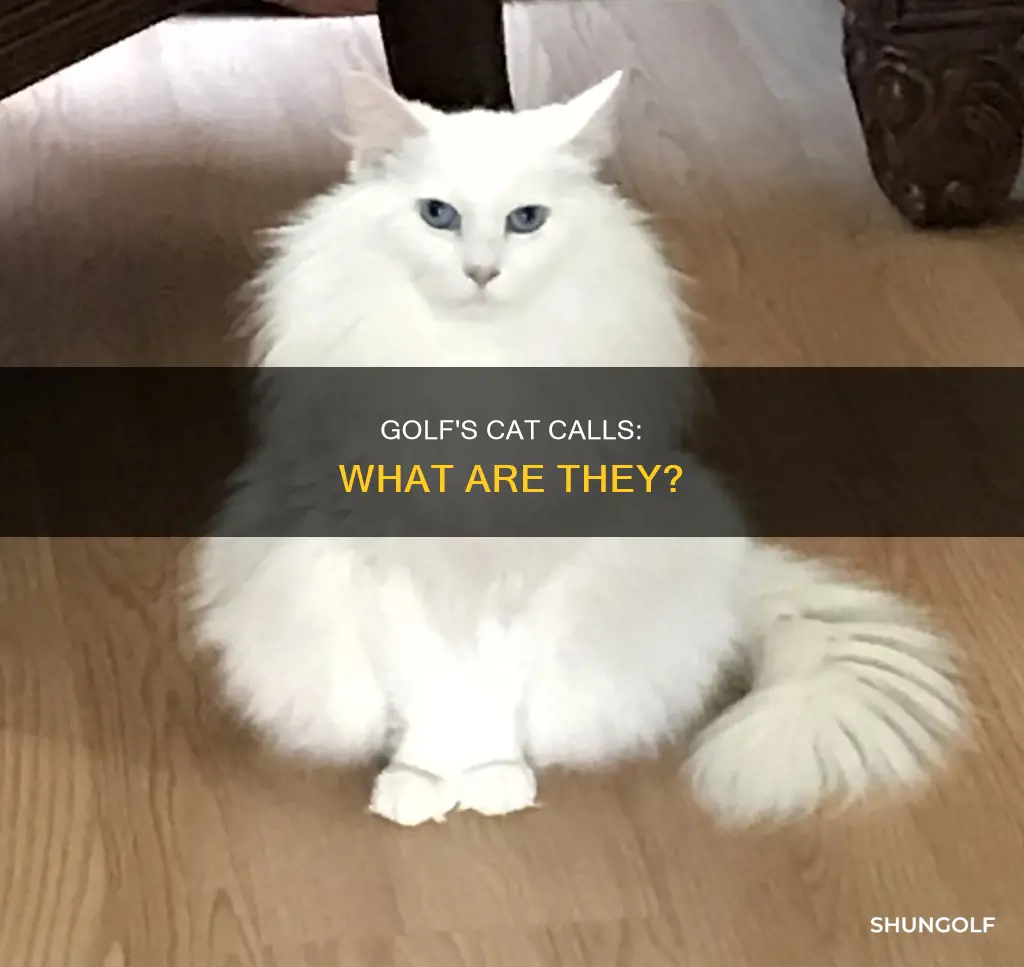 what are cat calls in golf