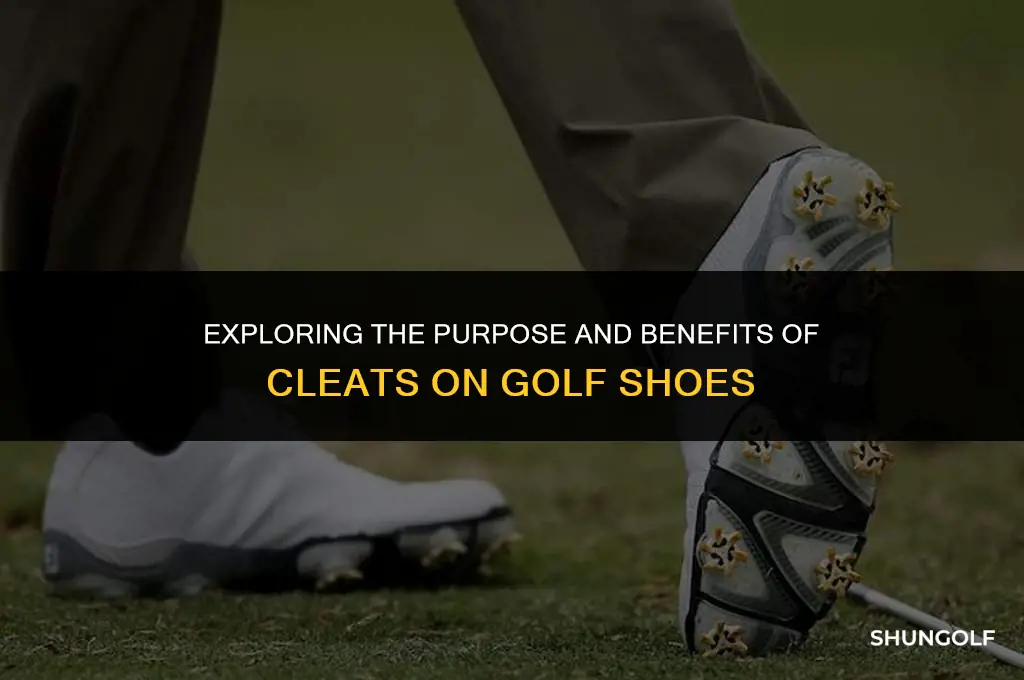 what are cleats on golf shoes