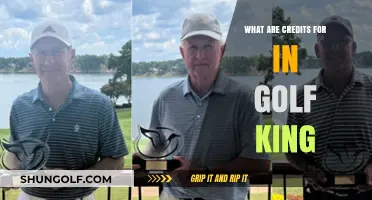 Understanding the Role of Credits in Golf King Gameplay