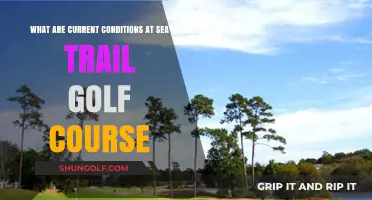 Current Conditions at Sea Trail Golf Course: A Comprehensive Update