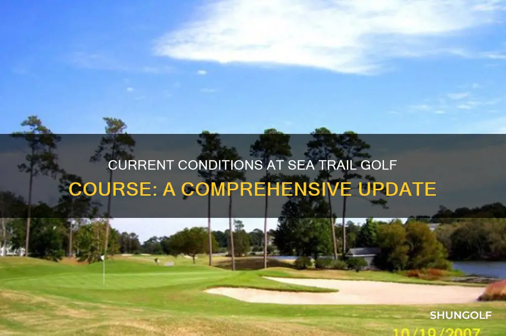 what are current conditions at sea trail golf course