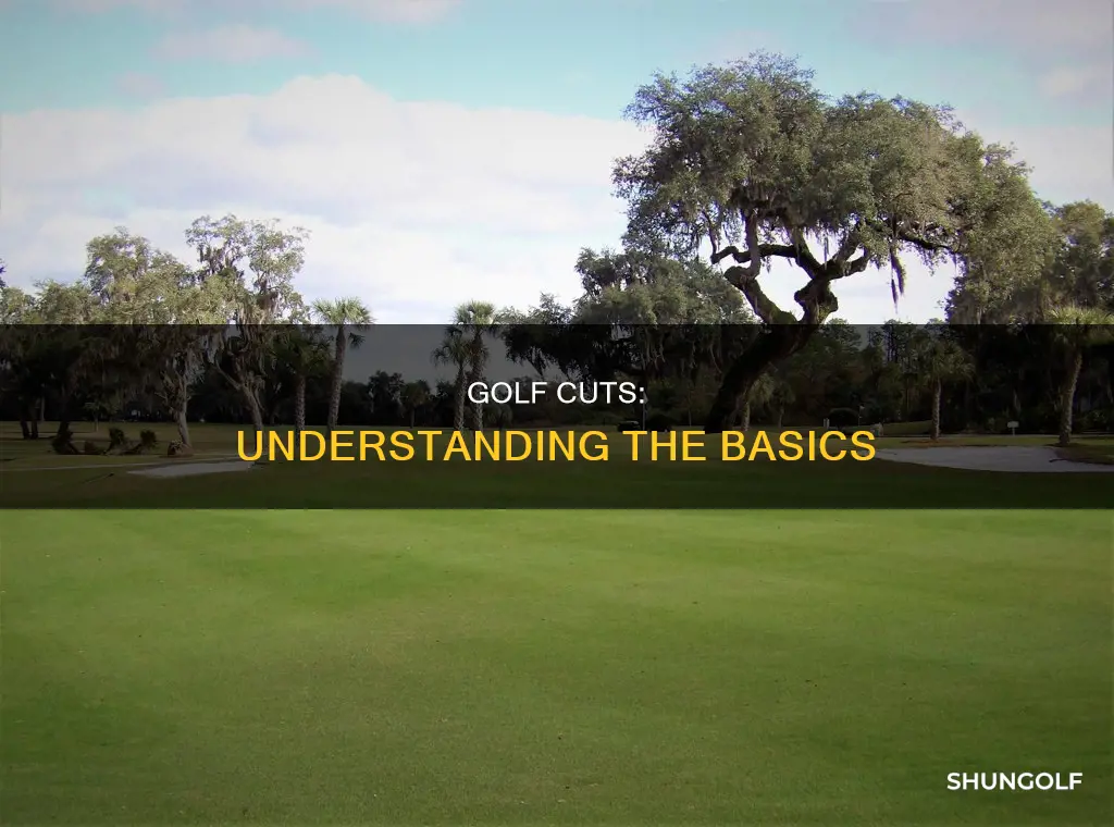 what are cuts in golf