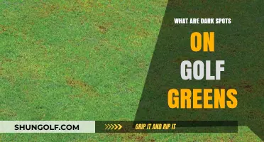 Understanding Dark Spots on Golf Greens: Causes and Solutions