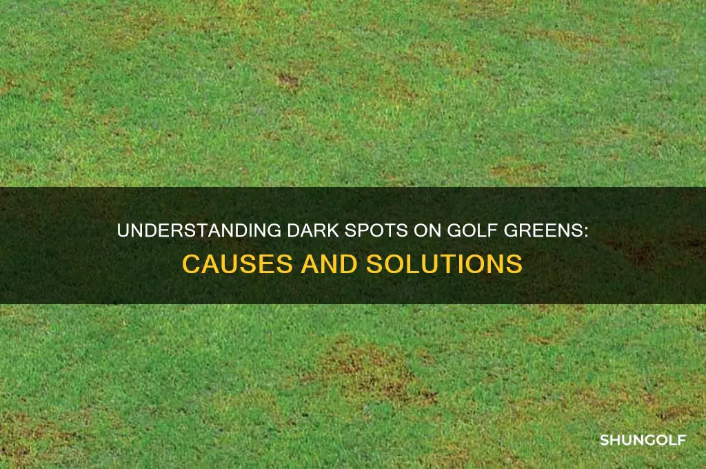 what are dark spots on golf greens