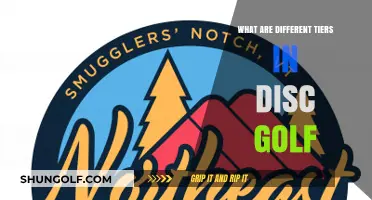Exploring the Diverse Tiers in Disc Golf: A Comprehensive Guide