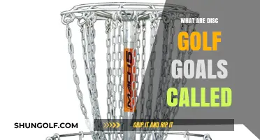 Exploring the Unique Terminology of Disc Golf Targets