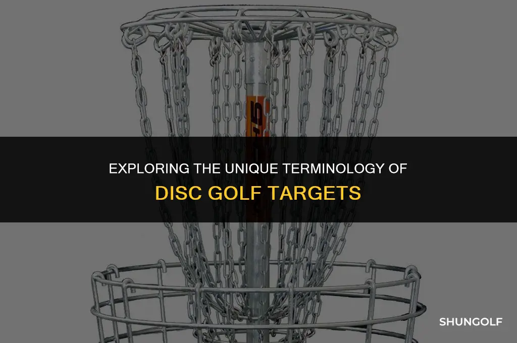 what are disc golf goals called