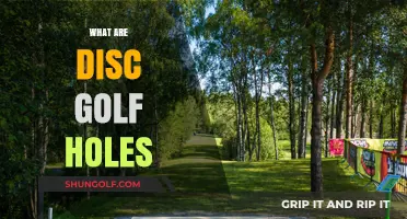 Exploring the Exciting World of Disc Golf Holes