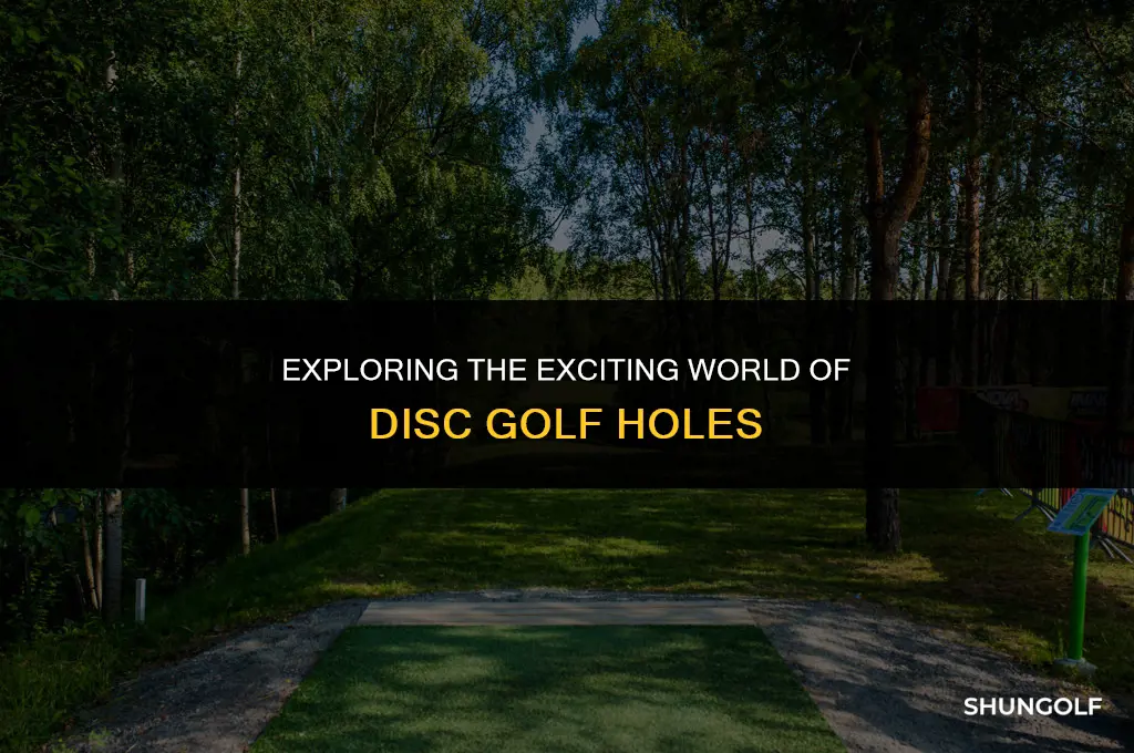what are disc golf holes
