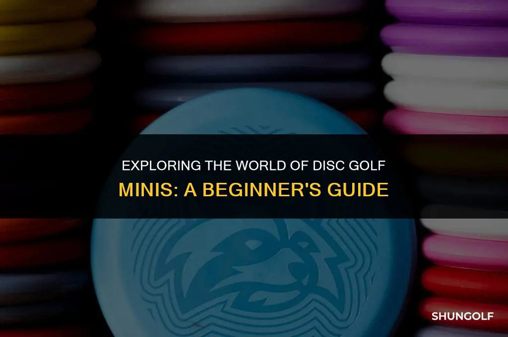 what are disc golf minis