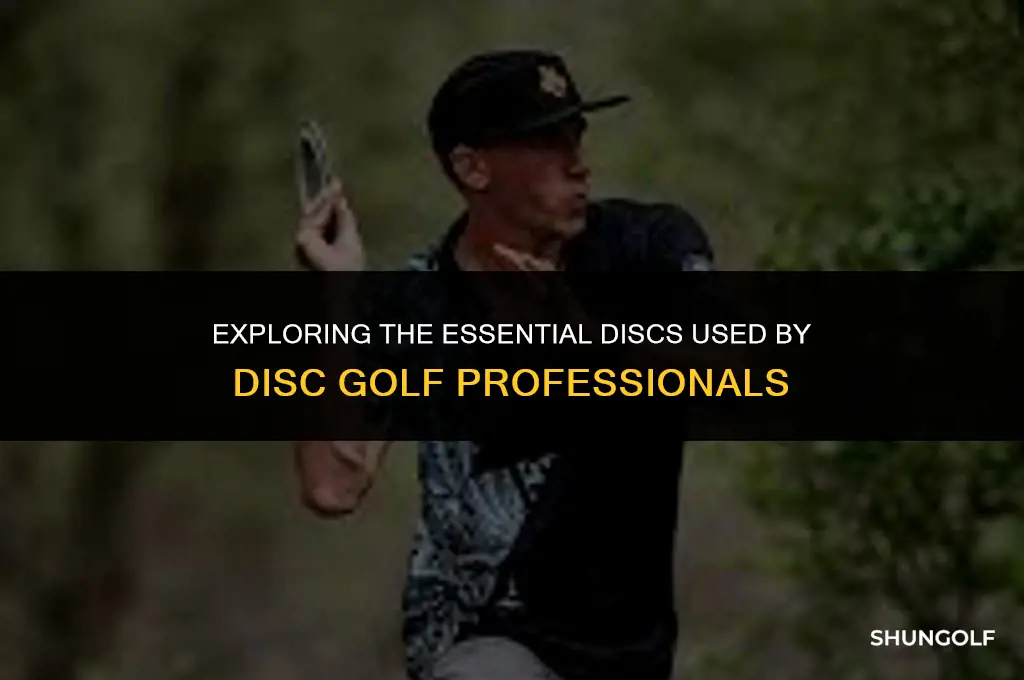 what are disc golf pro tour discs