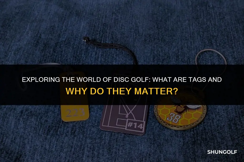 what are disc golf tags