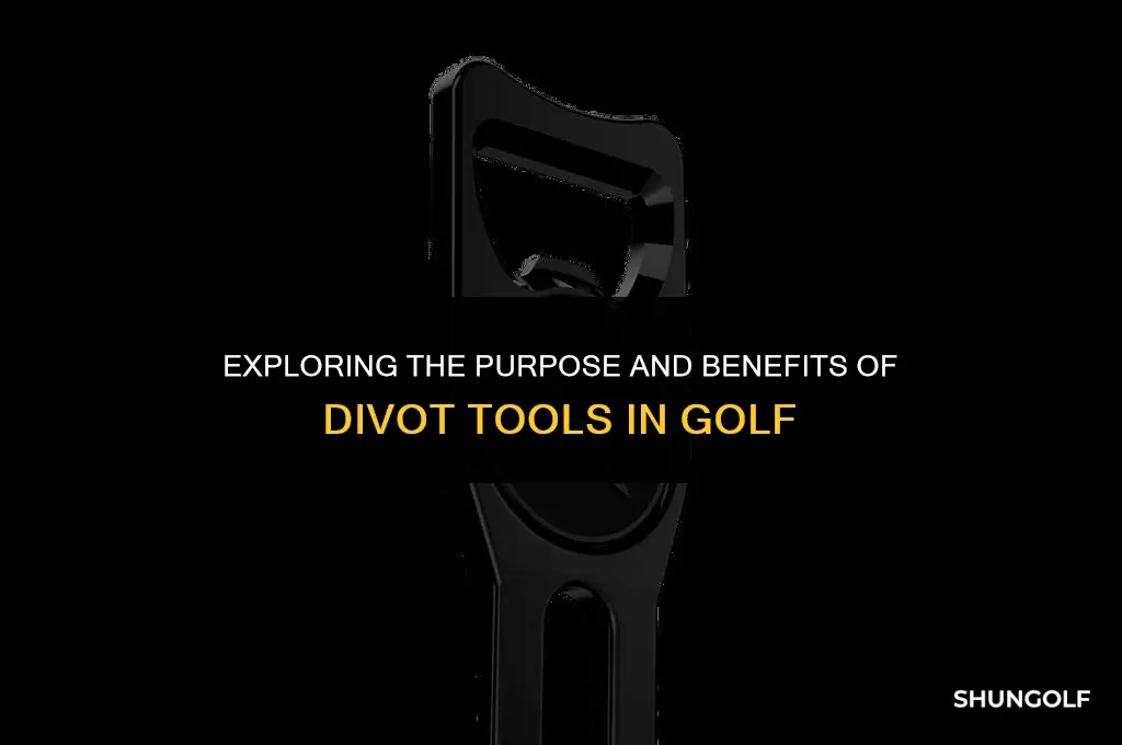 what are divot tools used for in golf