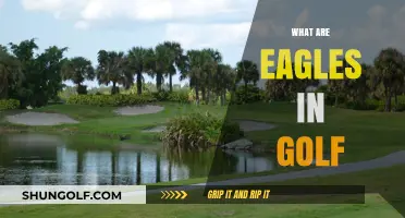 Golf Eagles: How to Score Below Par