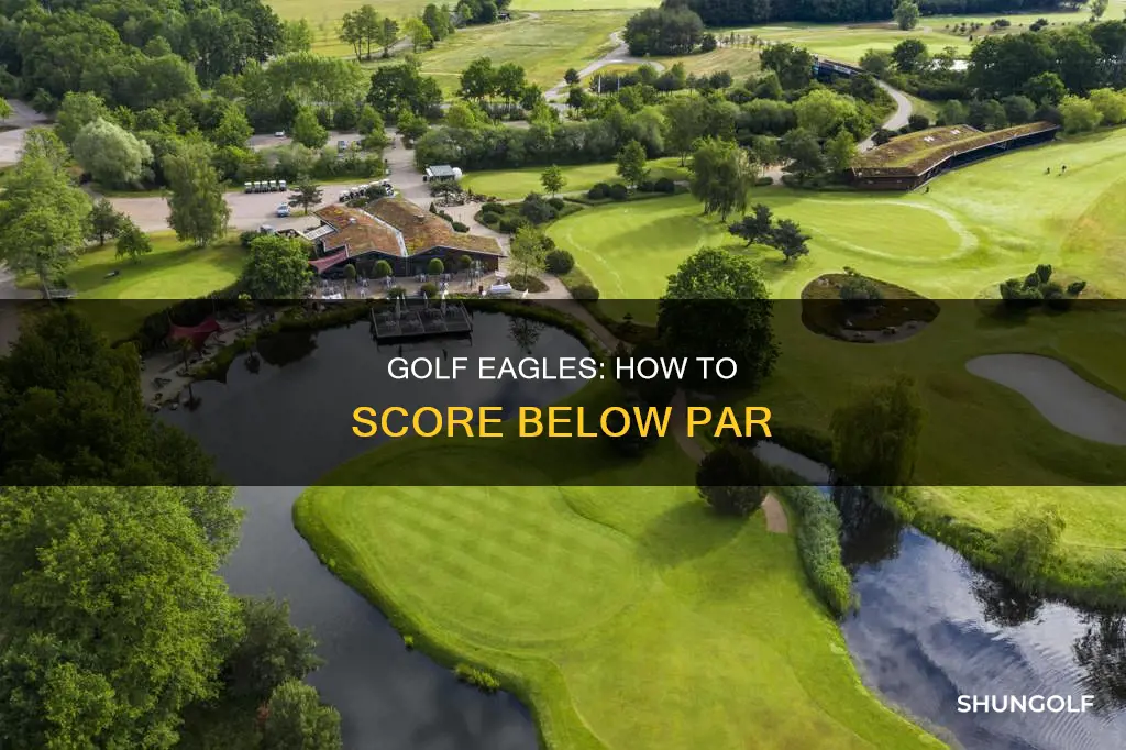 what are eagles in golf