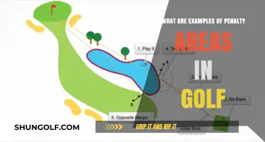 Understanding Golf's Penalty Areas: Key Examples and Rules Explained