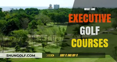 Exploring Executive Golf Courses: Compact, Quick, and Fun Golfing Experience