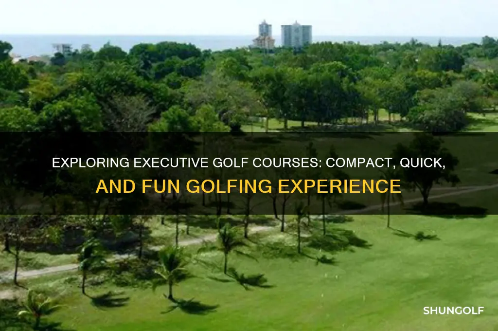 what are executive golf courses