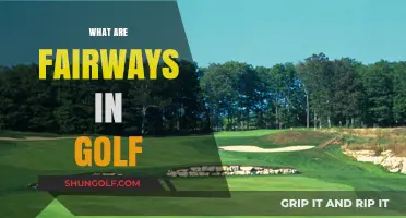 Golf Fairways: The Key to a Good Score