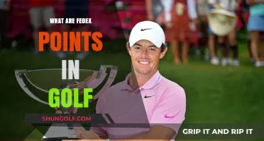 FedEx Cup Points: Golf's Playoff Race