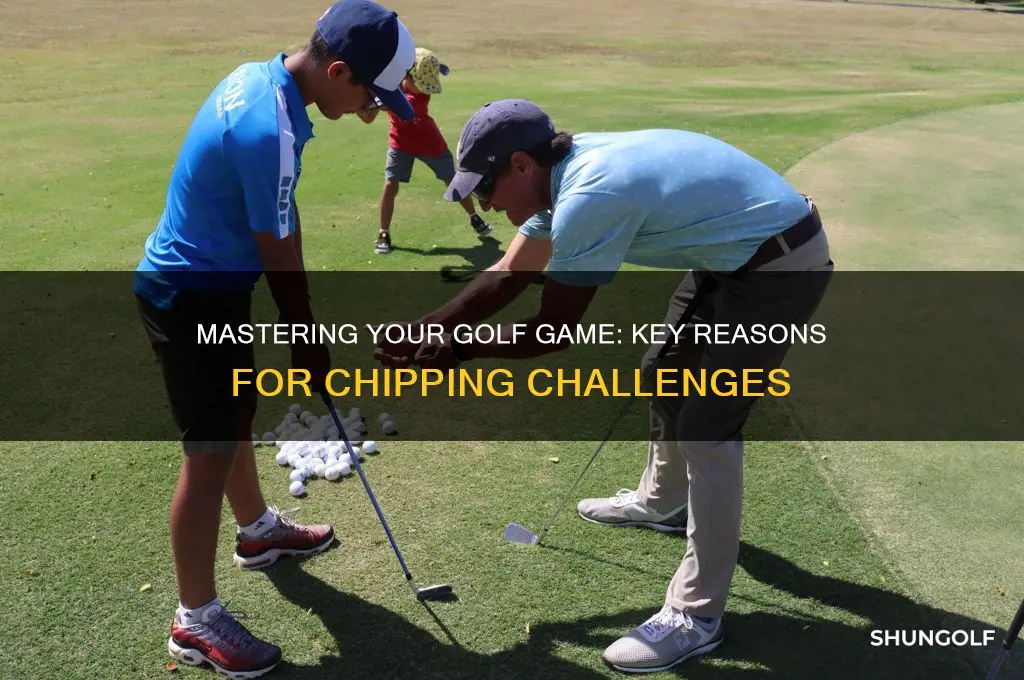 what are five reasons for chipping in golf