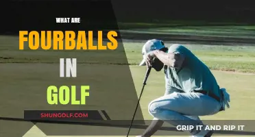 Golf Fourballs: Teamwork and Strategy