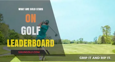 Understanding Gold Stars on Golf Leaderboards: Meaning and Significance