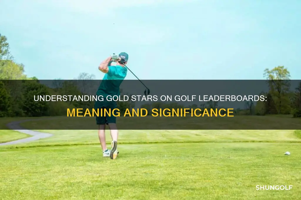 what are gold stars on golf leaderboard