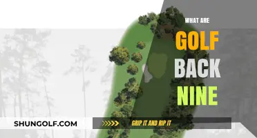 Golf's Back Nine: Holes to Glory